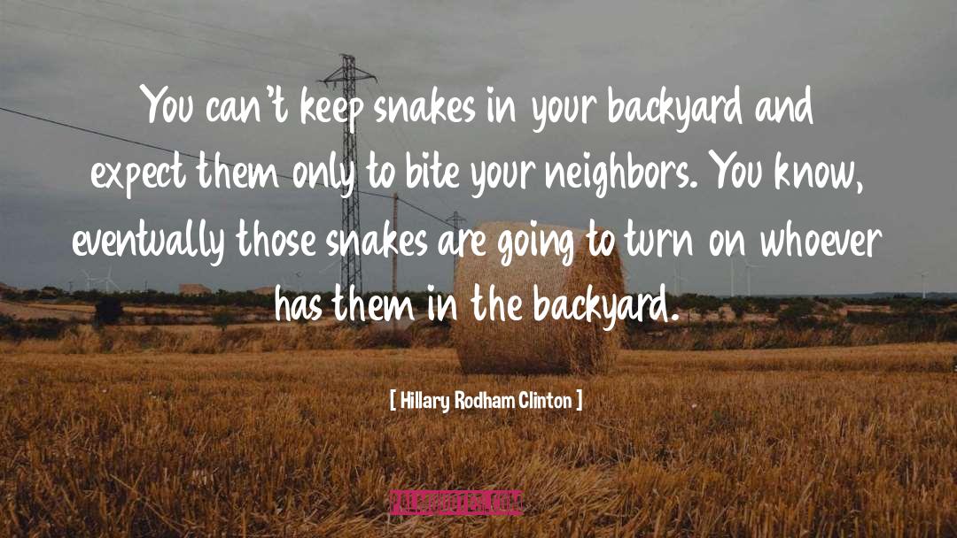 Hillary Rodham Clinton quotes by Hillary Rodham Clinton