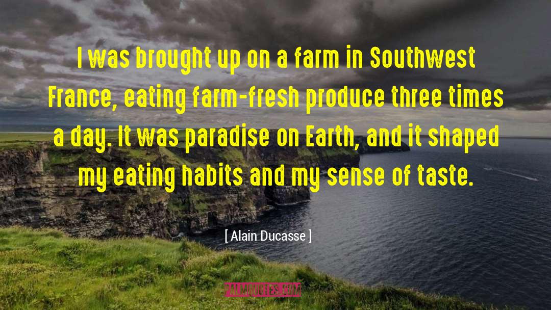 Hillesland Farm quotes by Alain Ducasse