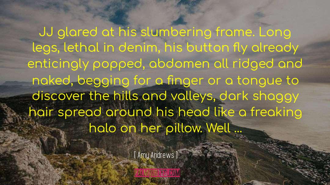 Hills And Valleys quotes by Amy Andrews