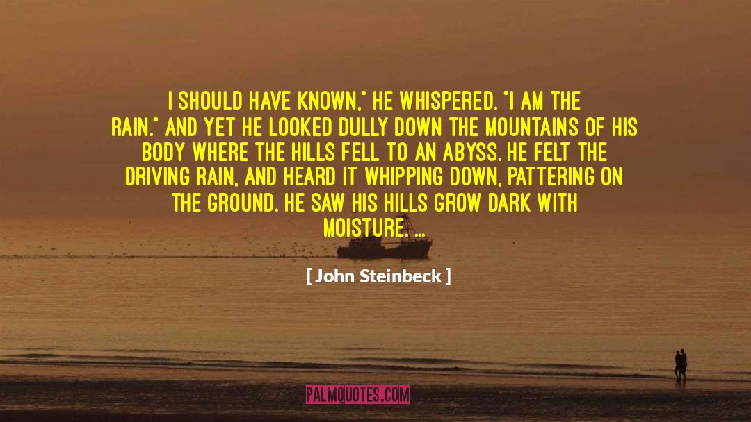 Hills And Valleys quotes by John Steinbeck