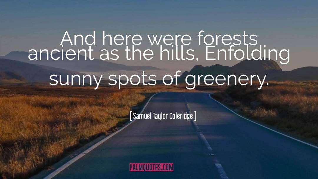 Hills quotes by Samuel Taylor Coleridge