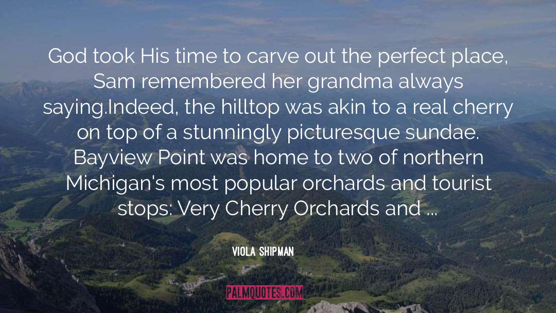 Hilltop quotes by Viola Shipman