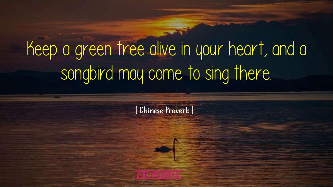 Hilpert Tree quotes by Chinese Proverb