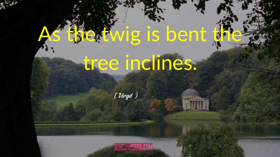 Hilpert Tree quotes by Virgil