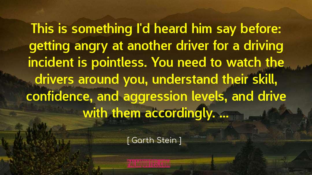Him Driving You Crazy quotes by Garth Stein