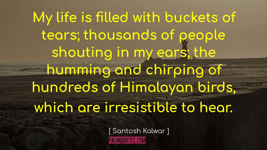 Himalayan Expedition quotes by Santosh Kalwar