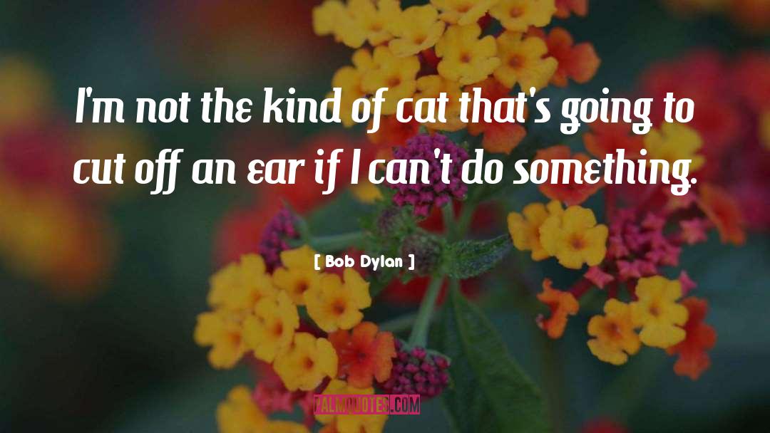 Hindash Cat quotes by Bob Dylan