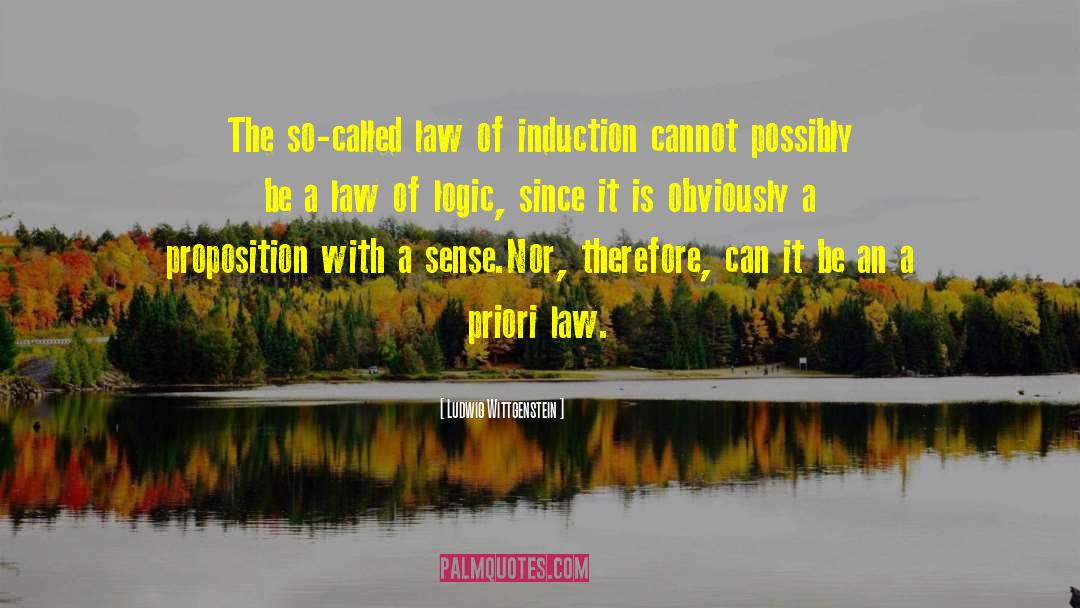 Hindmarsh Law quotes by Ludwig Wittgenstein