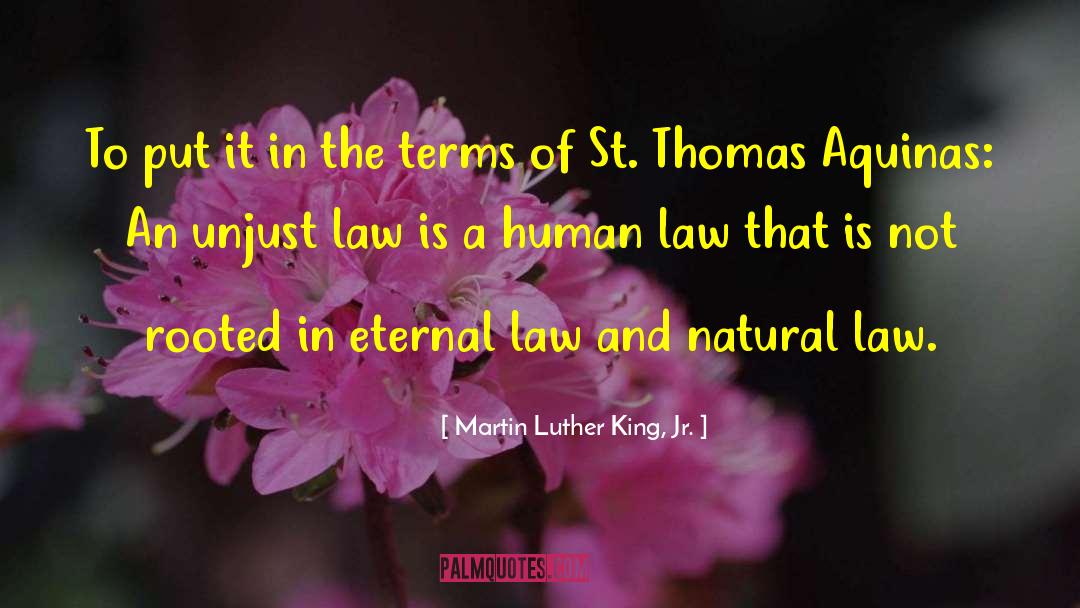Hindmarsh Law quotes by Martin Luther King, Jr.