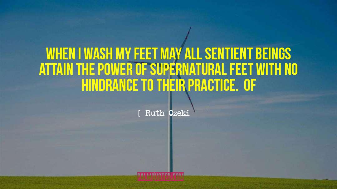 Hindrance quotes by Ruth Ozeki