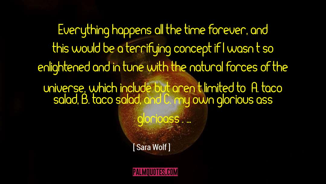 Hindu Concept Of The Universe quotes by Sara Wolf