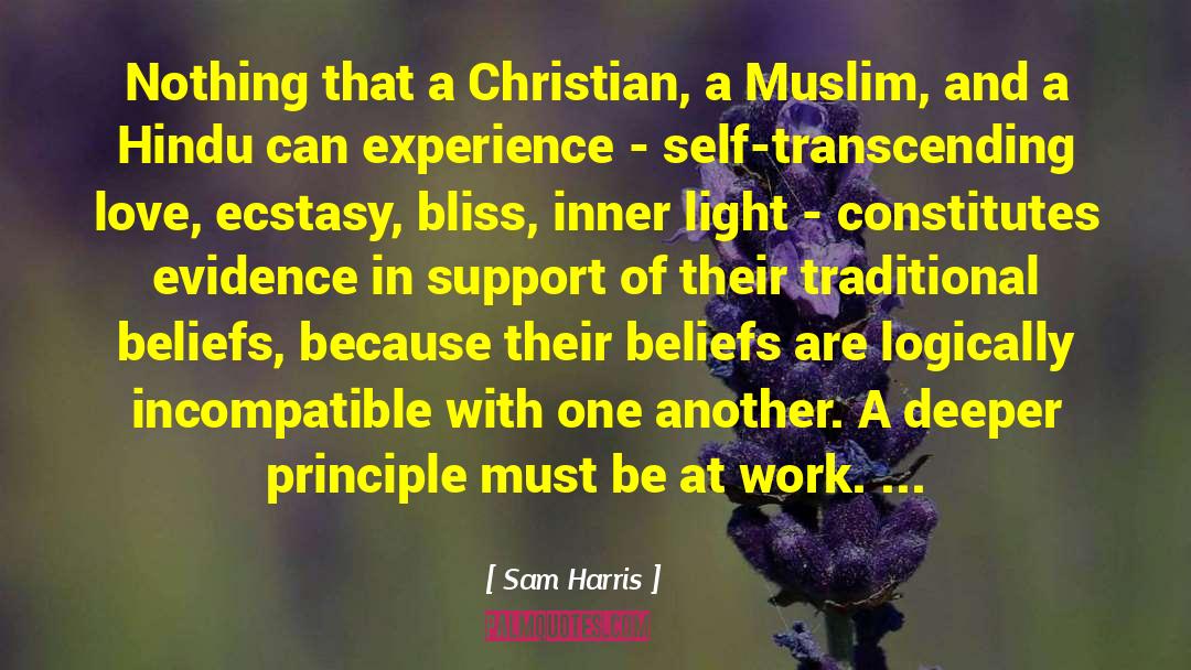 Hindu Muslim Peace quotes by Sam Harris