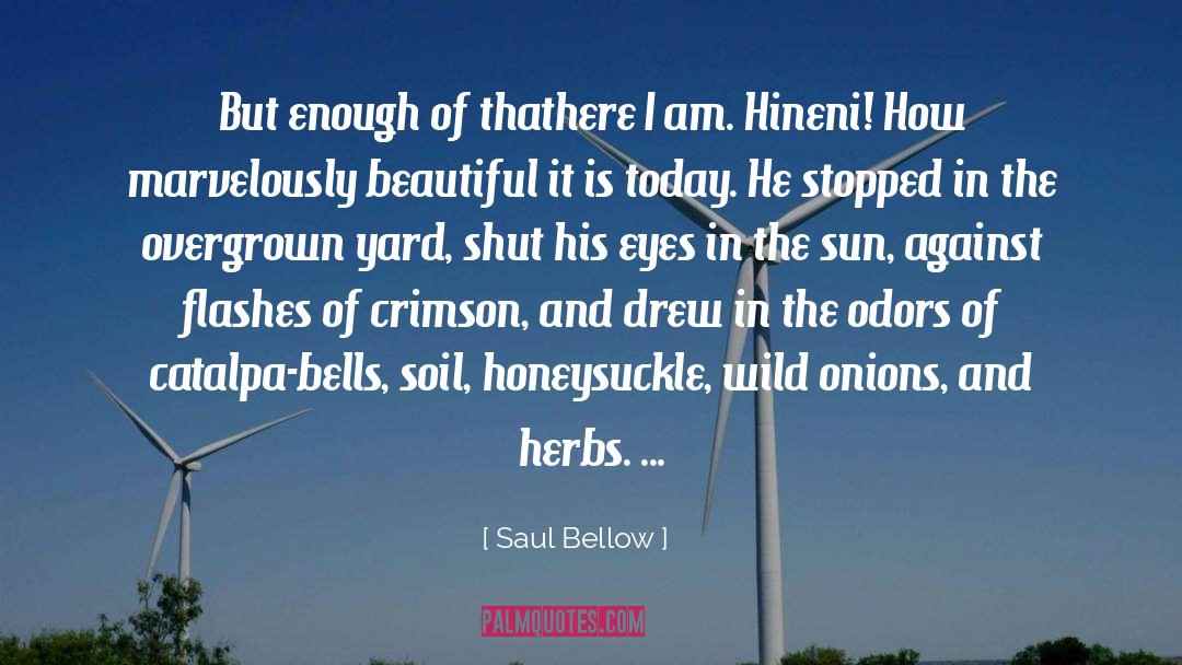 Hineni quotes by Saul Bellow