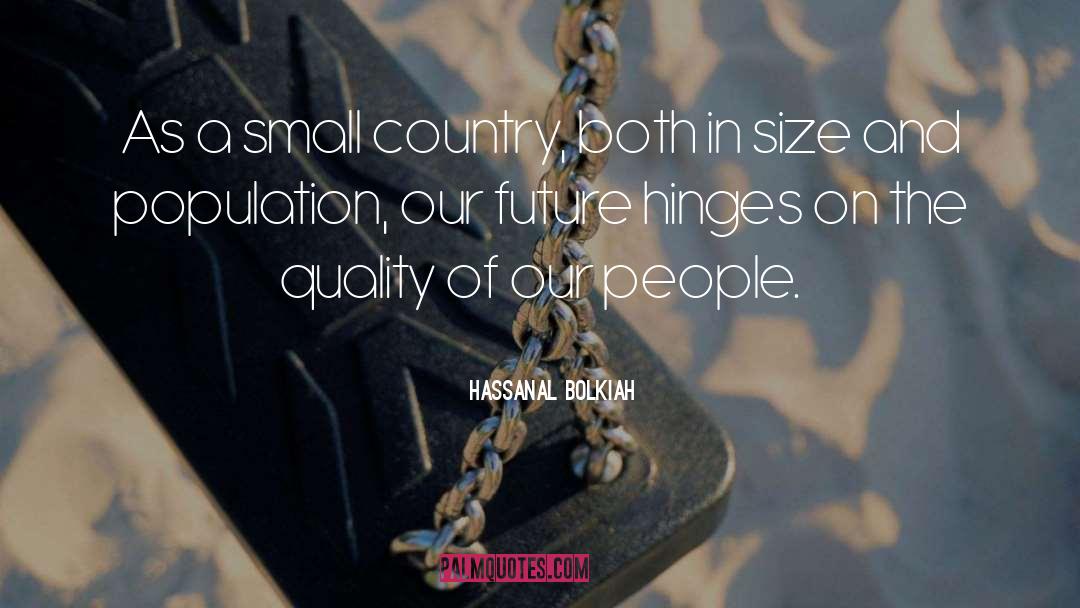 Hinges quotes by Hassanal Bolkiah