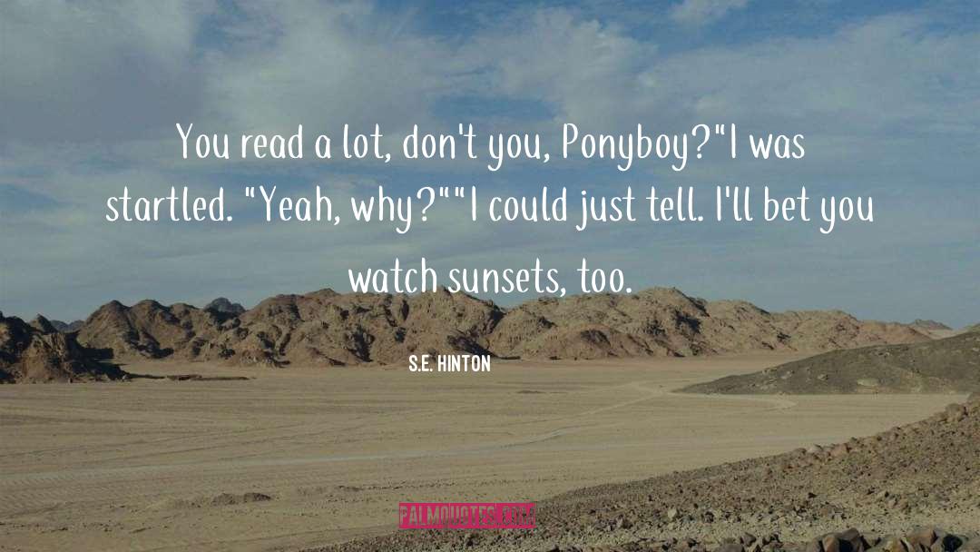 Hinton quotes by S.E. Hinton