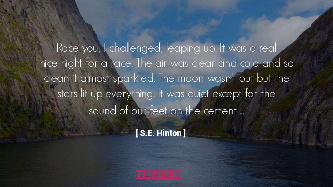 Hinton quotes by S.E. Hinton