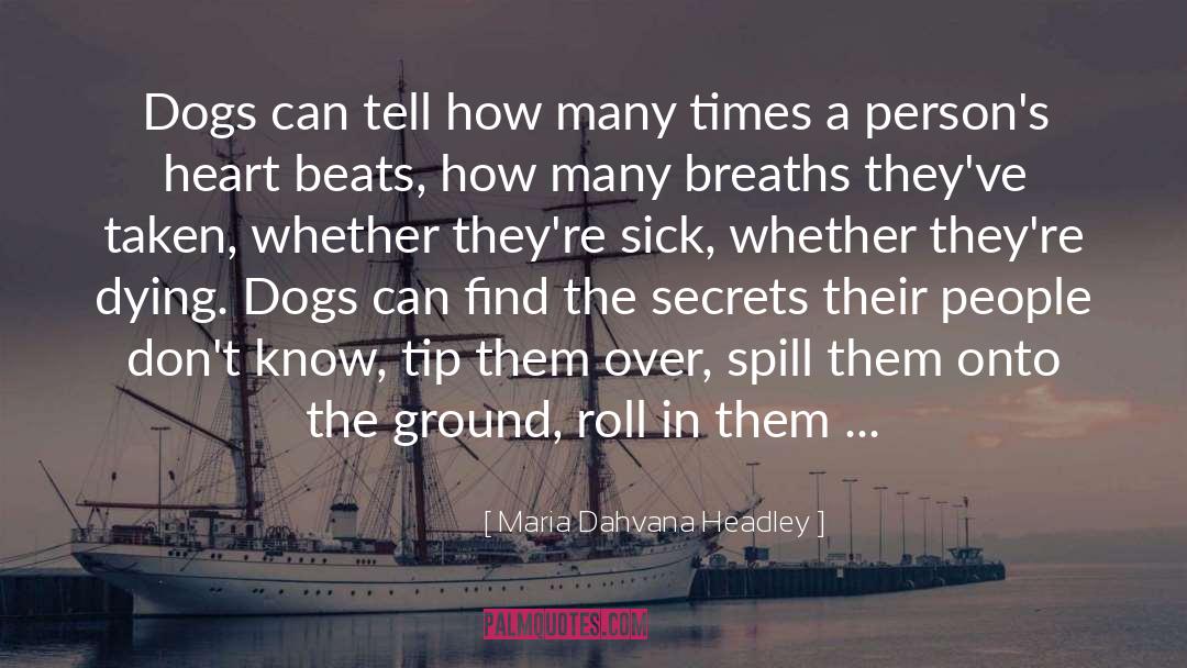 Hints Dogs Subtlety quotes by Maria Dahvana Headley