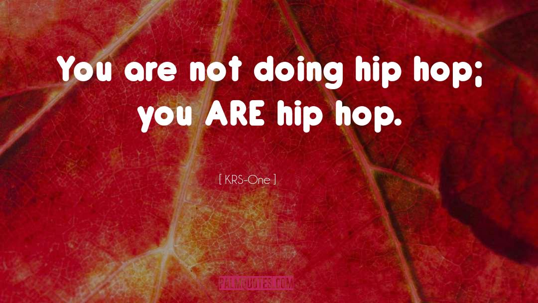 Hip Hop quotes by KRS-One