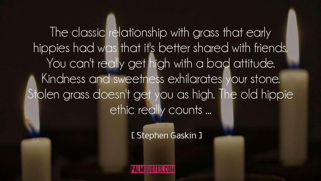 Hippie quotes by Stephen Gaskin