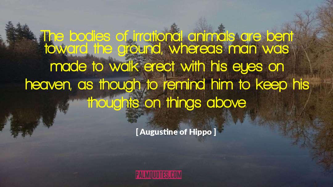 Hippo quotes by Augustine Of Hippo