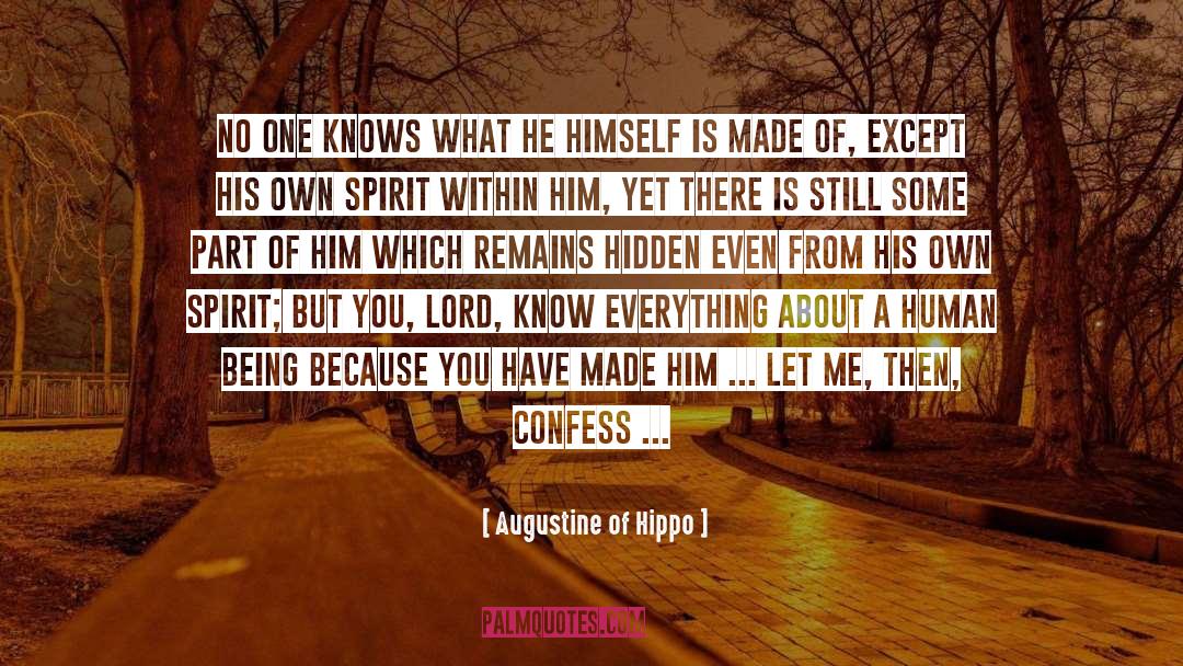 Hippo quotes by Augustine Of Hippo