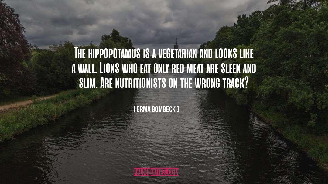 Hippopotamus quotes by Erma Bombeck