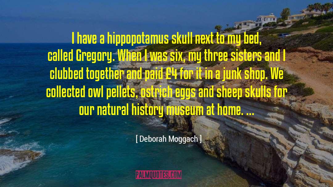 Hippopotamus quotes by Deborah Moggach