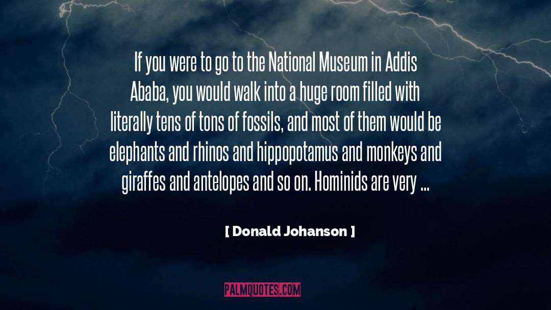 Hippopotamus quotes by Donald Johanson