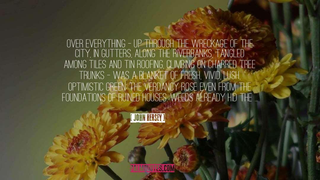 Hiroshima quotes by John Hersey