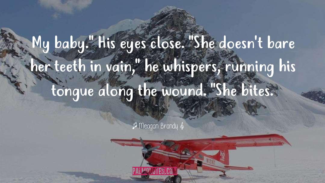 His Eyes quotes by Meagan Brandy