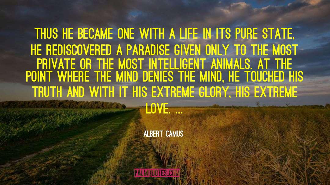 His Truth quotes by Albert Camus