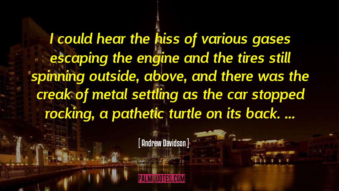 Hiss quotes by Andrew Davidson