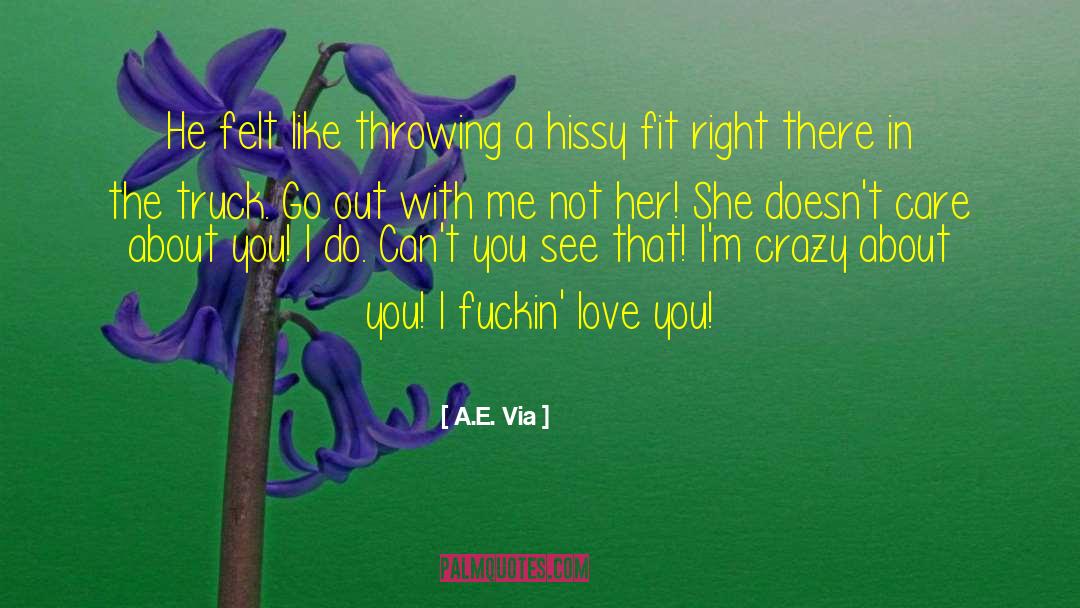 Hissy Fit quotes by A.E. Via