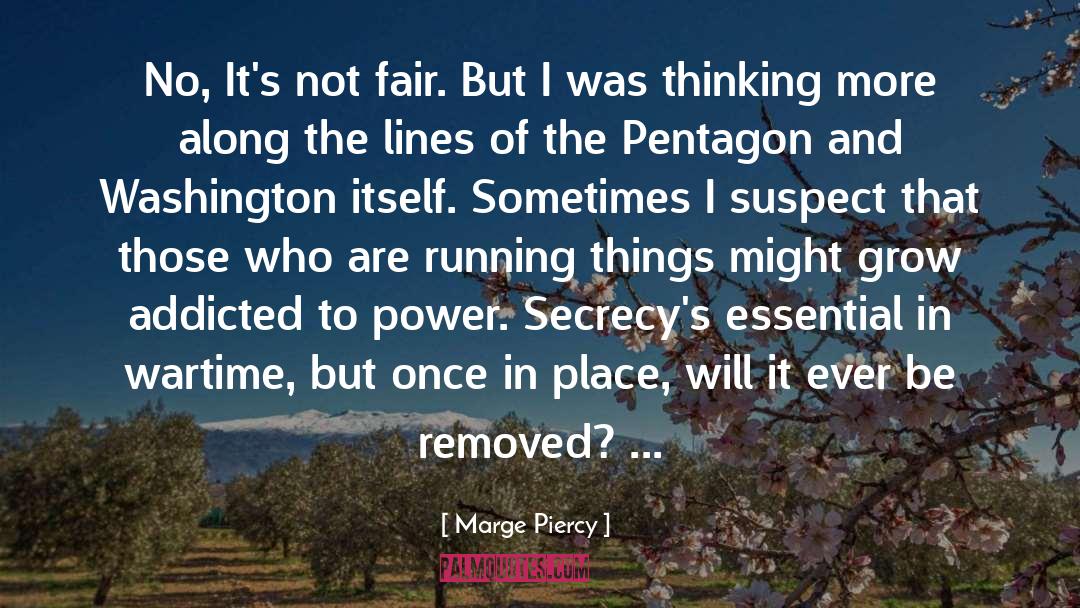 Historical Insight quotes by Marge Piercy