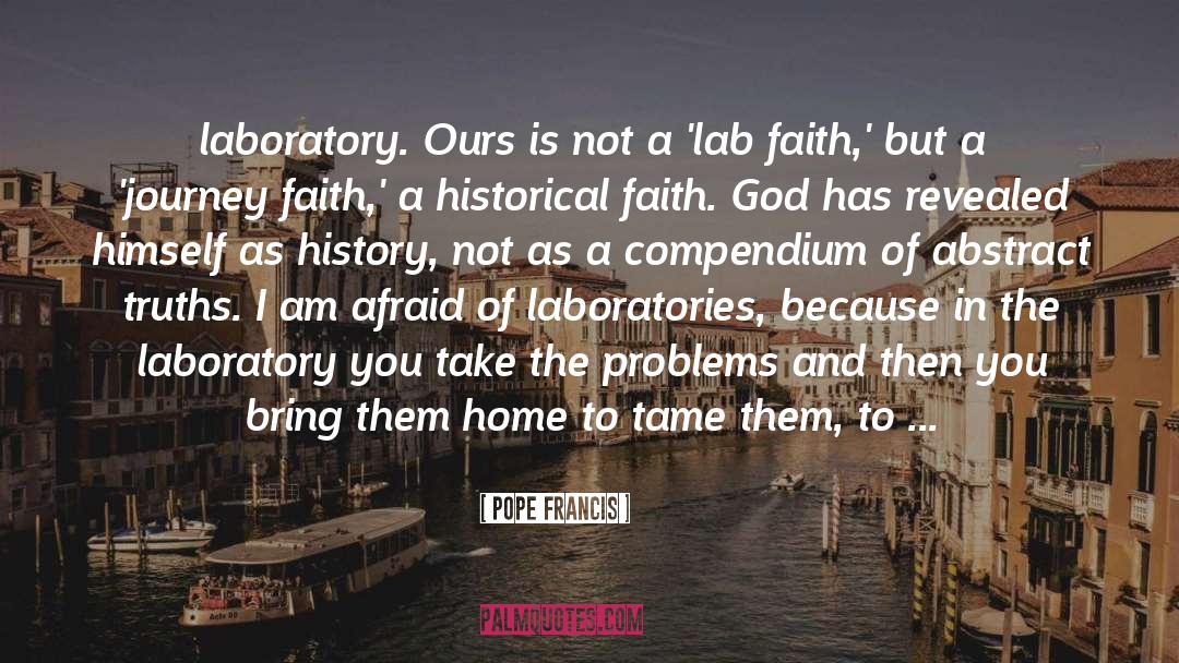 Historical Novella quotes by Pope Francis