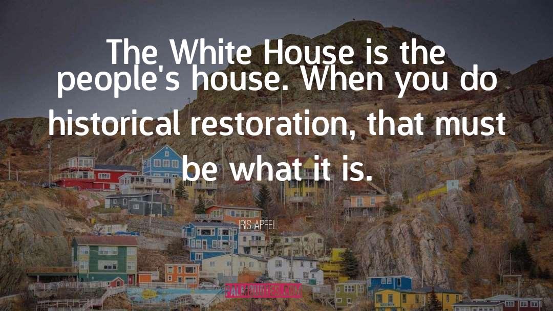 Historical Restoration quotes by Iris Apfel