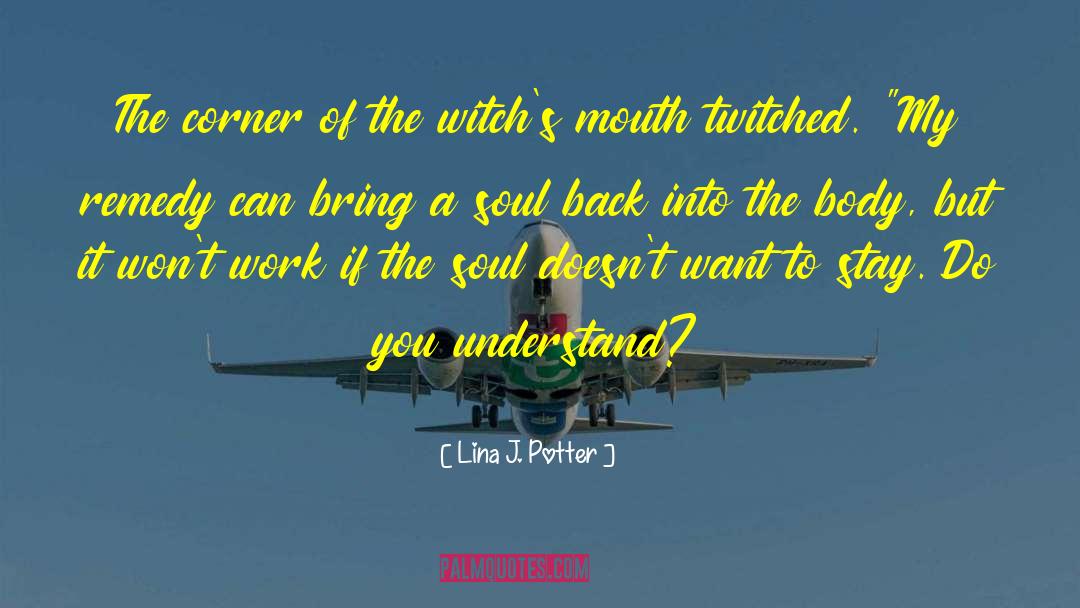 Historical Time Travel Romance quotes by Lina J. Potter