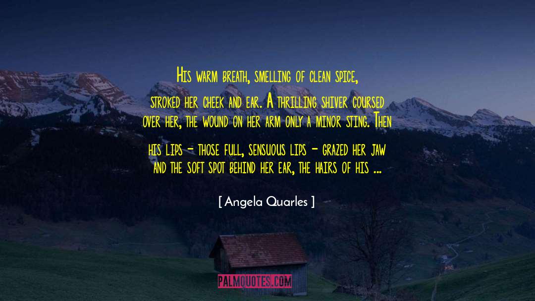 Historical Time Travel Romance quotes by Angela Quarles