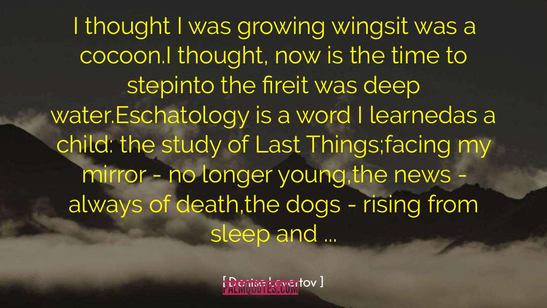 Historicist Eschatology quotes by Denise Levertov