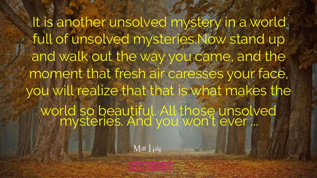 Histories Mysteries quotes by Matt Haig