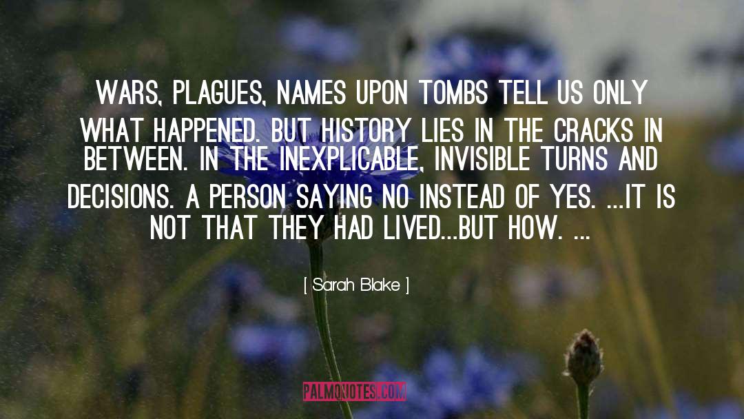 History Lies quotes by Sarah Blake