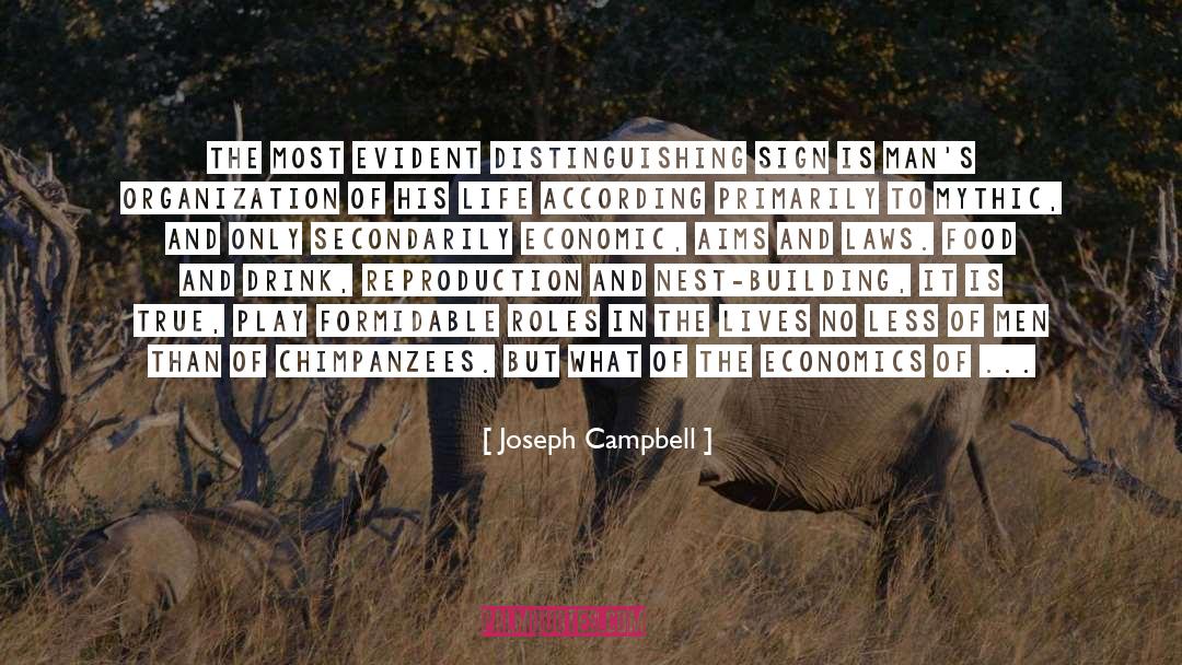History Matters quotes by Joseph Campbell