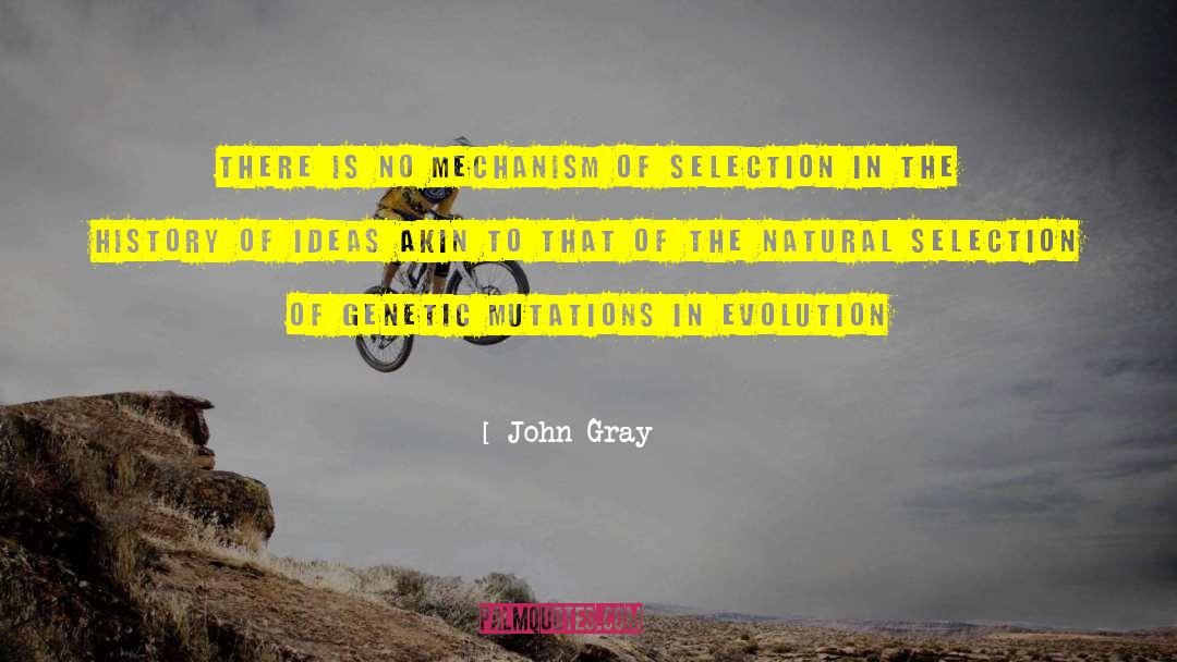 History Of Ideas quotes by John Gray