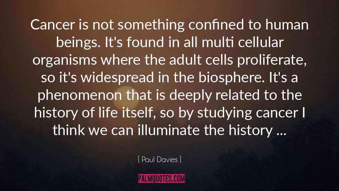 History Of Life quotes by Paul Davies