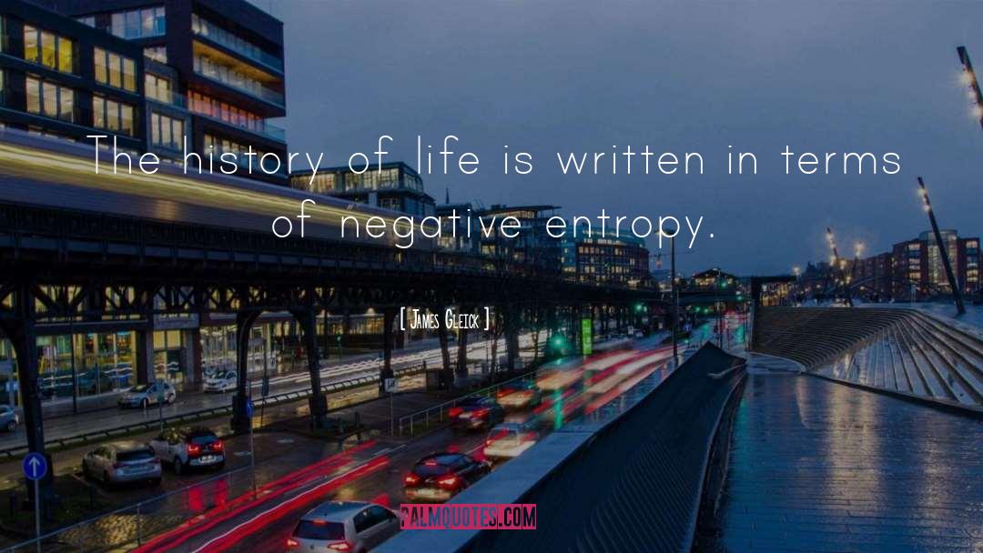History Of Life quotes by James Gleick