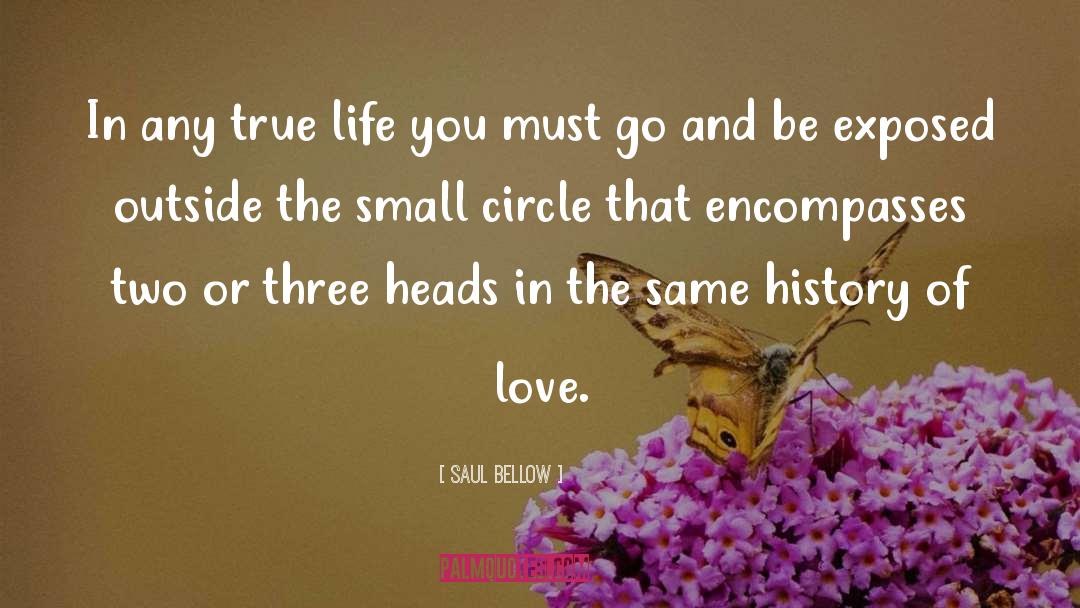 History Of Love quotes by Saul Bellow