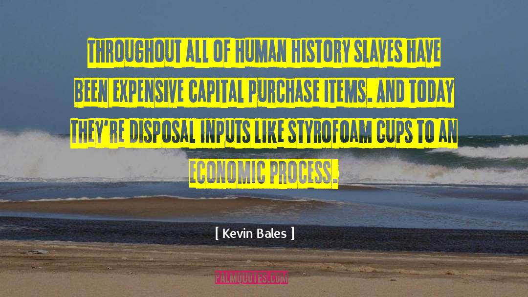 History Of Photography quotes by Kevin Bales