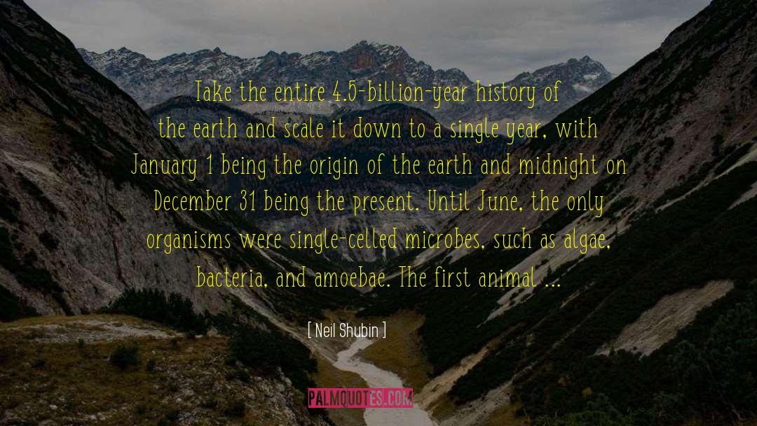 History Of The Earth quotes by Neil Shubin