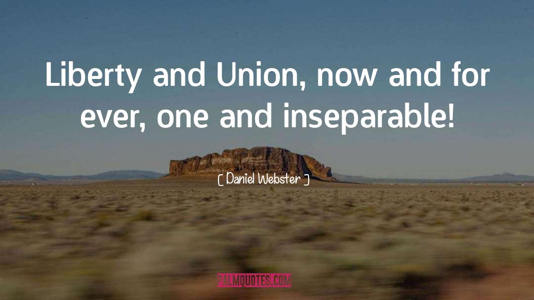 History Politics quotes by Daniel Webster
