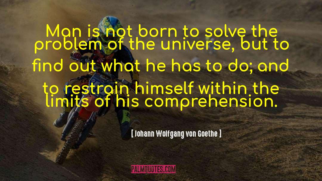 Hit Man quotes by Johann Wolfgang Von Goethe